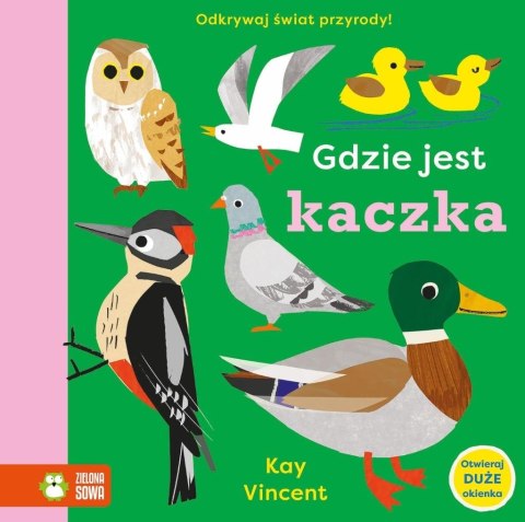 Gdzie jest kaczka Gdzie jest kaczka