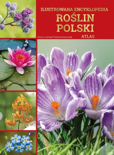 Ilustrowana encyklopedia roślin Polski. Atlas Ilustrowana encyklopedia roślin Polski. Atlas