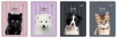 Zeszyt A5/32K 3kol linia 70g UV Puppy Sign (10szt) Zeszyt A5/32K 3kol linia 70g UV Puppy Sign (10szt)
