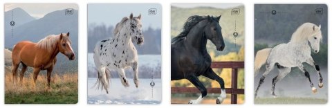 Zeszyt A5/32K 3kol linia 70g UV Wild Horses(10szt) Zeszyt A5/32K 3kol linia 70g UV Wild Horses(10szt)