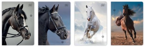 Zeszyt A5/32K kratka M 70g UV Wild Horses (10szt) Zeszyt A5/32K kratka M 70g UV Wild Horses (10szt)