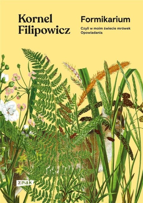 Formikarium, czyli w moim świecie mrówek Formikarium, czyli w moim świecie mrówek