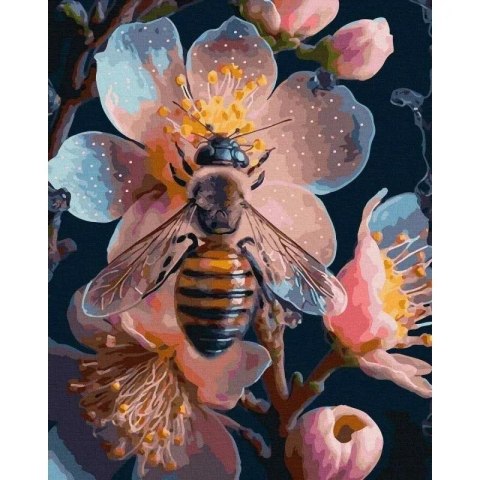 Malowanie po numerach - Pszczoła 40x50 cm Malowanie po numerach - Pszczoła 40x50 cm