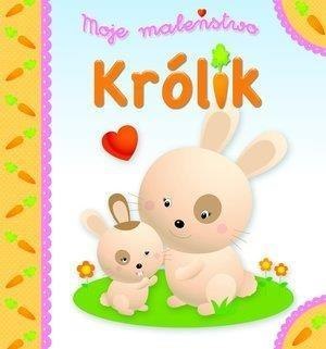 Moje maleństwo. Królik Moje maleństwo. Królik