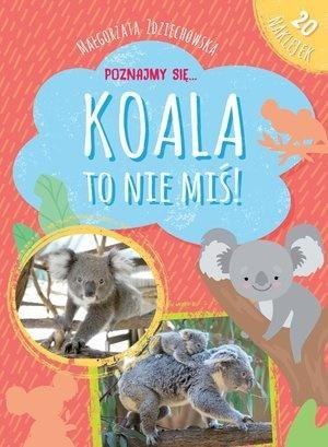 Poznajmy się... Koala to nie miś! Poznajmy się... Koala to nie miś!