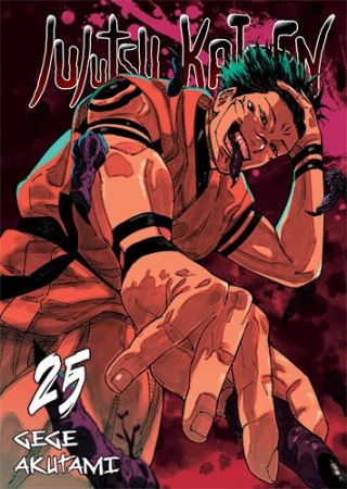 Jujutsu Kaisen. Tom 25