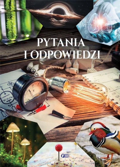 Pytania i odpowiedzi Pytania i odpowiedzi