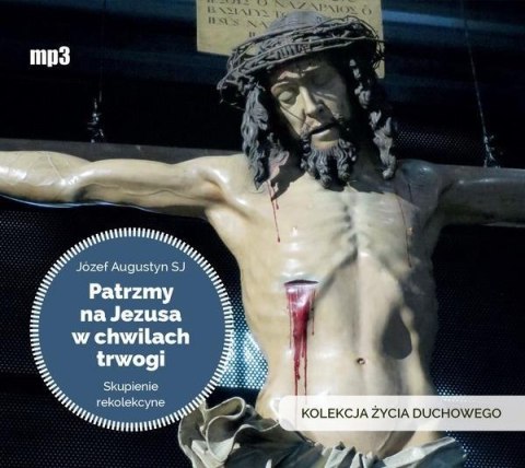 Patrzmy na Jezusa w chwilach trwogi audiobook Patrzmy na Jezusa w chwilach trwogi audiobook
