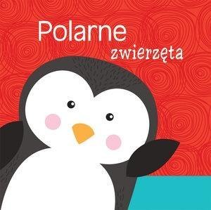 Polarne zwierzęta Polarne zwierzęta