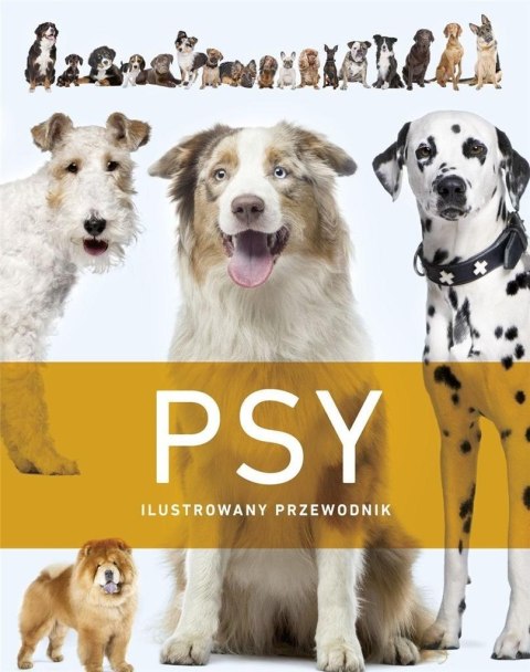 Psy. Ilustrowany przewodnik Psy. Ilustrowany przewodnik