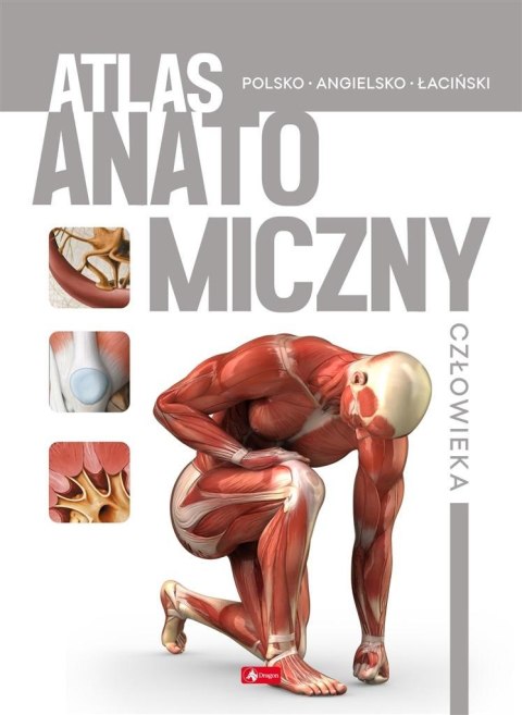 Atlas anatomiczny człowieka Atlas anatomiczny człowieka