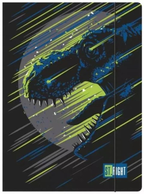 Teczka z gumką A4 Dinosaur Teczka z gumką A4 Dinosaur