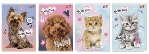 Zeszyt A5/16K linia 2kol My little friend (15szt) Zeszyt A5/16K linia 2kol My little friend (15szt)