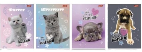 Zeszyt A5/32K kratka My little friend (15szt) Zeszyt A5/32K kratka My little friend (15szt)