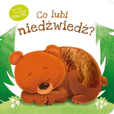 Co lubi niedźwiedź? Co lubi niedźwiedź?