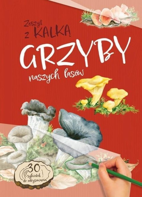 Grzyby Naszych Lasów. zeszyt z kalką Grzyby Naszych Lasów. zeszyt z kalką