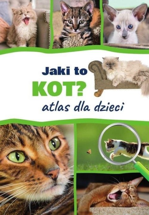 Jaki to kot? Atlas dla dzieci Jaki to kot? Atlas dla dzieci
