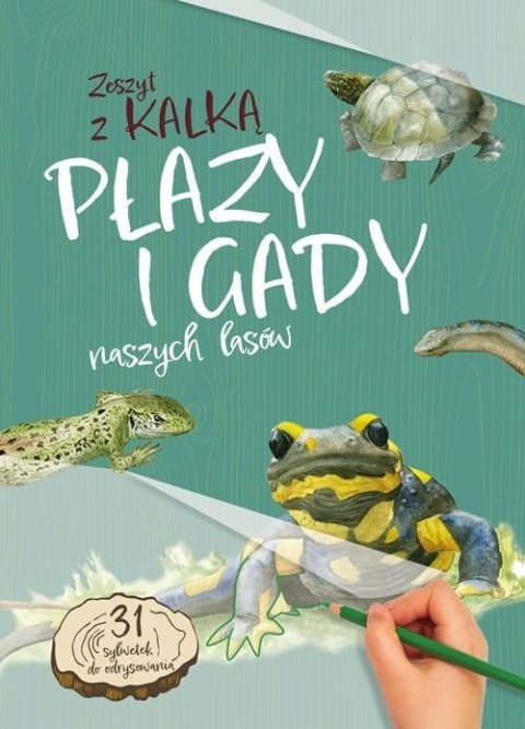 Płazy i Gady naszych lasów. zeszyt z kalką Płazy i Gady naszych lasów. zeszyt z kalką