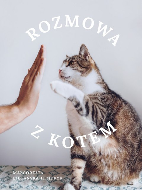 Rozmowa z kotem Rozmowa z kotem
