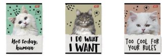 Zeszyt A5/32K kratka Caturday(15szt)