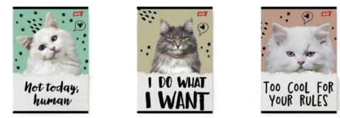 Zeszyt A5/32K kratka Caturday(15szt) Zeszyt A5/32K kratka Caturday(15szt)