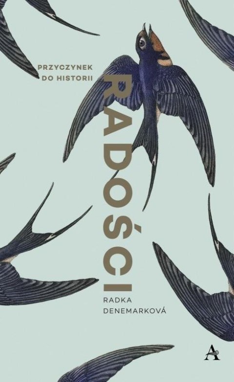 Przyczynek do historii radości Przyczynek do historii radości