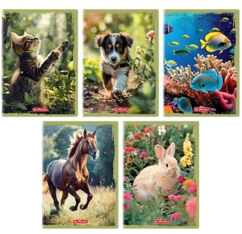 Zeszyt A5/32K linia z marginesem Animals (10szt) Zeszyt A5/32K linia z marginesem Animals (10szt)