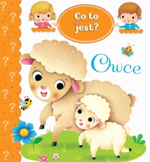 Co to jest? Owce Co to jest? Owce