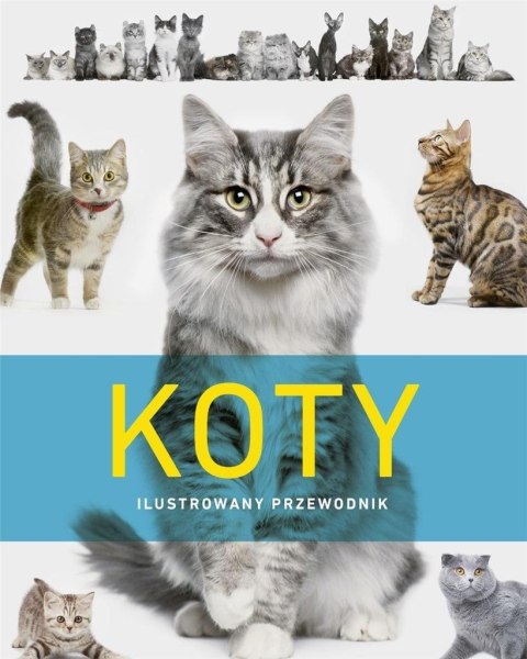 Koty. Ilustrowany przewodnik Koty. Ilustrowany przewodnik