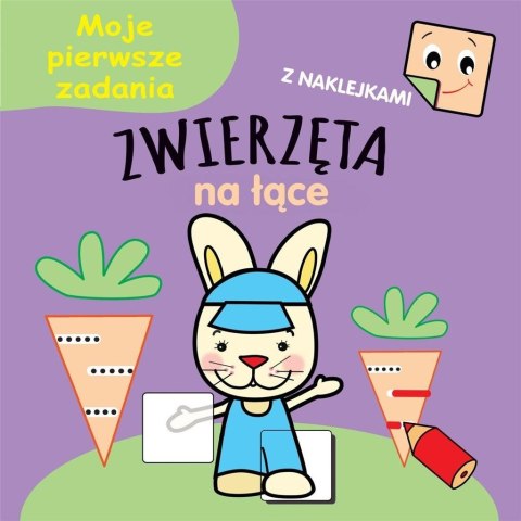 Moje pierwsze zadania. Zwierzęta na łące Moje pierwsze zadania. Zwierzęta na łące