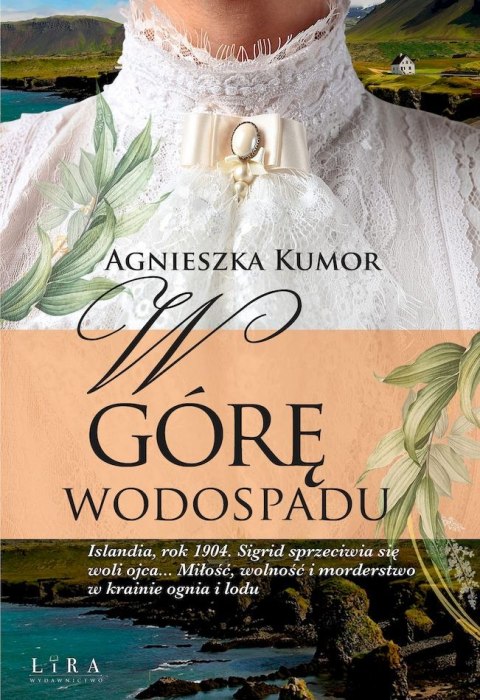 W górę wodospadu W górę wodospadu