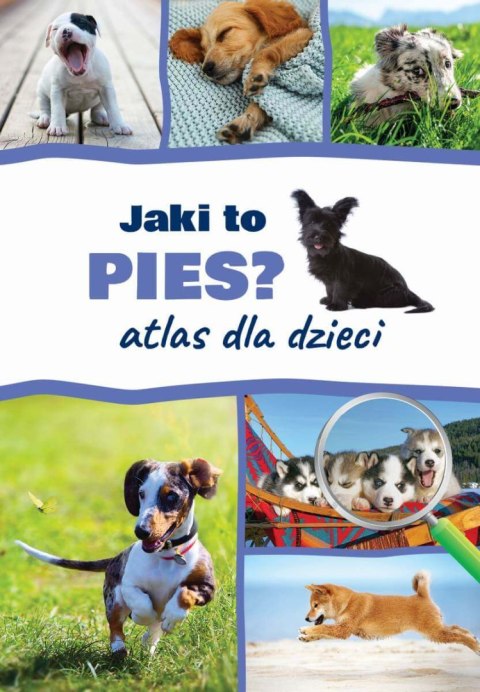 Jaki to pies? Atlas dla dzieci Jaki to pies? Atlas dla dzieci
