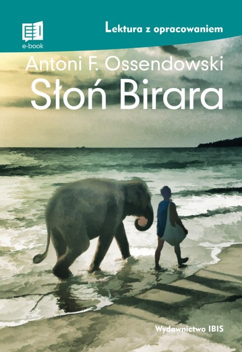 Słoń Birara. Lektura z opracowaniem Słoń Birara. Lektura z opracowaniem