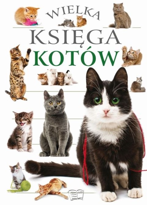 Wielka księga kotów Wielka księga kotów