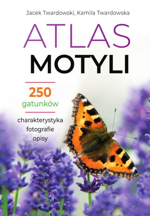 Atlas motyli Atlas motyli