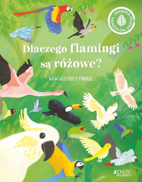 Dlaczego flamingi są różowe? Wiem wszystko o ptakach Dlaczego flamingi są różowe? Wiem wszystko o ptakach
