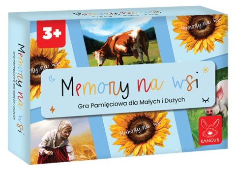 Gra Memory na Wsi Gra Memory na Wsi