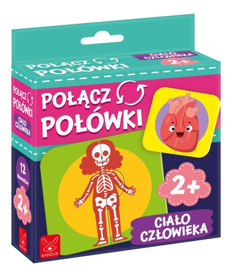 Gra Połącz Połówki Ciało Człowieka Gra Połącz Połówki Ciało Człowieka