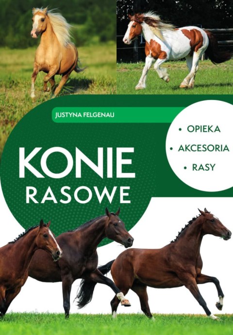 Konie rasowe. Opieka, akcesoria, rasy Konie rasowe. Opieka, akcesoria, rasy