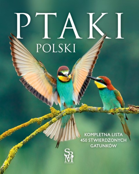 Ptaki Polski Ptaki Polski