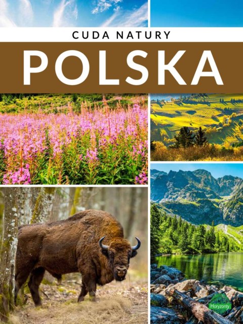 Polska. Cuda natury Polska. Cuda natury