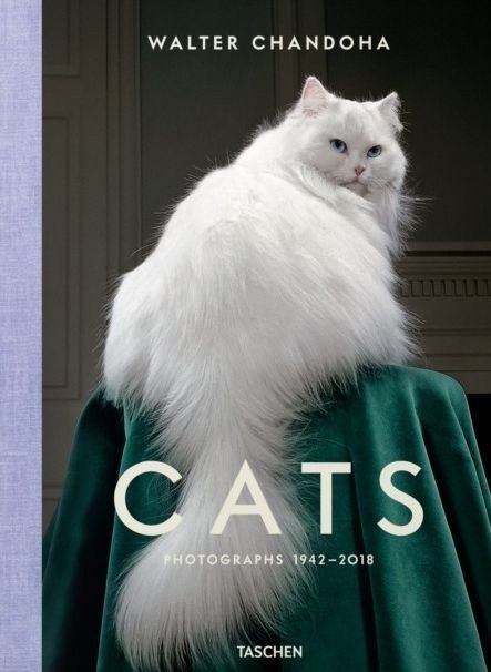 Walter Chandoha. Cats. Photographs 1942-2018 wer. angielska Walter Chandoha. Cats. Photographs 1942-2018 wer. angielska
