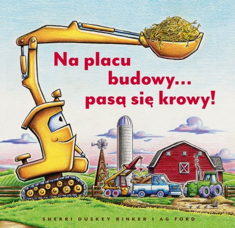 Na placu budowy... pasą się krowy! Na placu budowy... pasą się krowy!