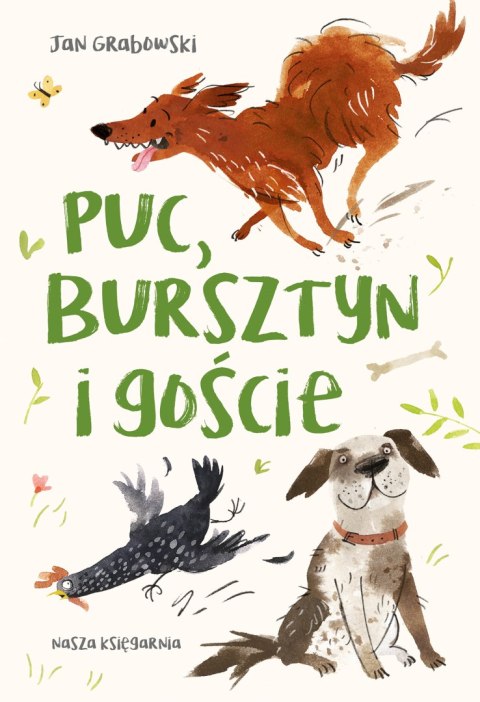 Puc, Bursztyn i goście wyd. 2025 Puc, Bursztyn i goście wyd. 2025
