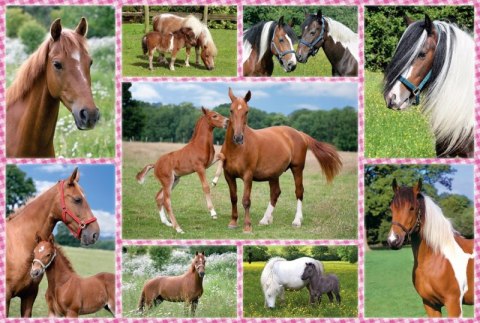 Puzzle 150 Konie 106960 Puzzle 150 Konie 106960
