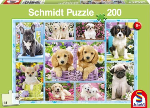 Puzzle 200 Szczeniaki 105984 Puzzle 200 Szczeniaki 105984