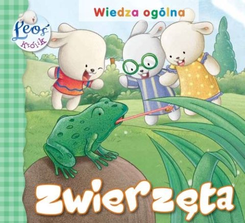 Zwierzęta. Królik Leoś Zwierzęta. Królik Leoś