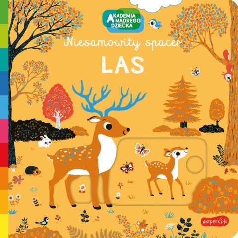Las. Akademia mądrego dziecka. Niesamowity spacer Las. Akademia mądrego dziecka. Niesamowity spacer