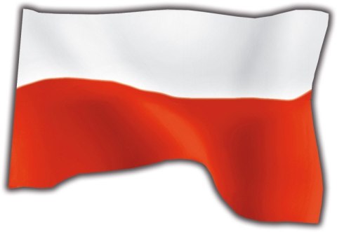 Flaga polski Flaga polski