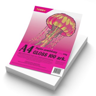 Papier A4 powlekany kredowany gloss 100 ark. 350g